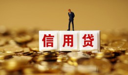 东莞民间哪有个人借贷-东莞民间小额贷款公司-东莞民间私借空放免费上门