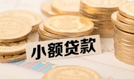 东莞民间身份证贷款平台-东莞民间私人借贷不查征信-东莞民间空放借钱